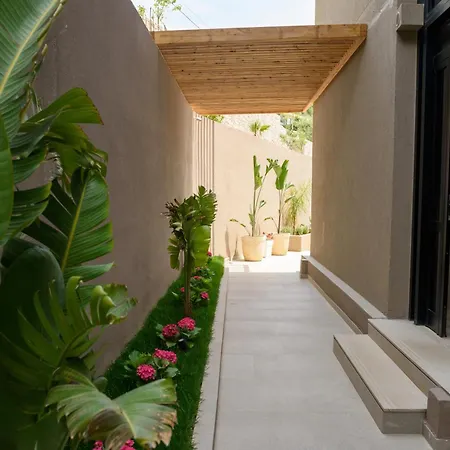 Amare * パリアーサ