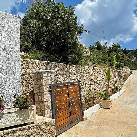 Amare * パリアーサ