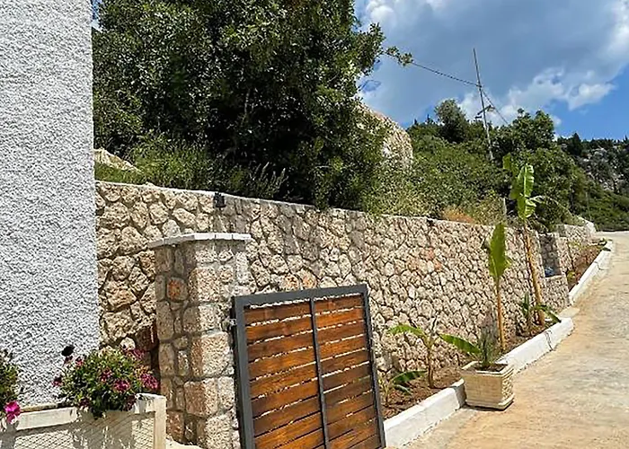 Amare * Palasë